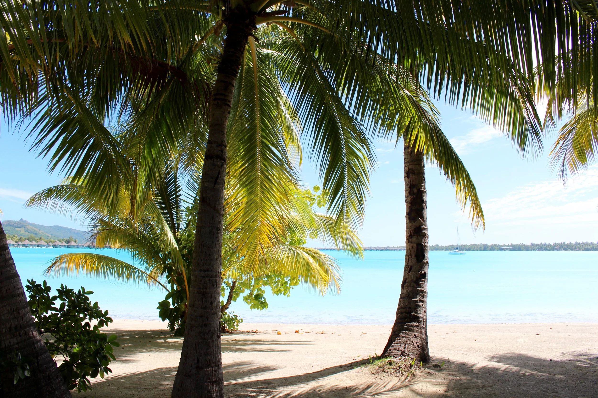 Romantic honeymoon to Bora Bora