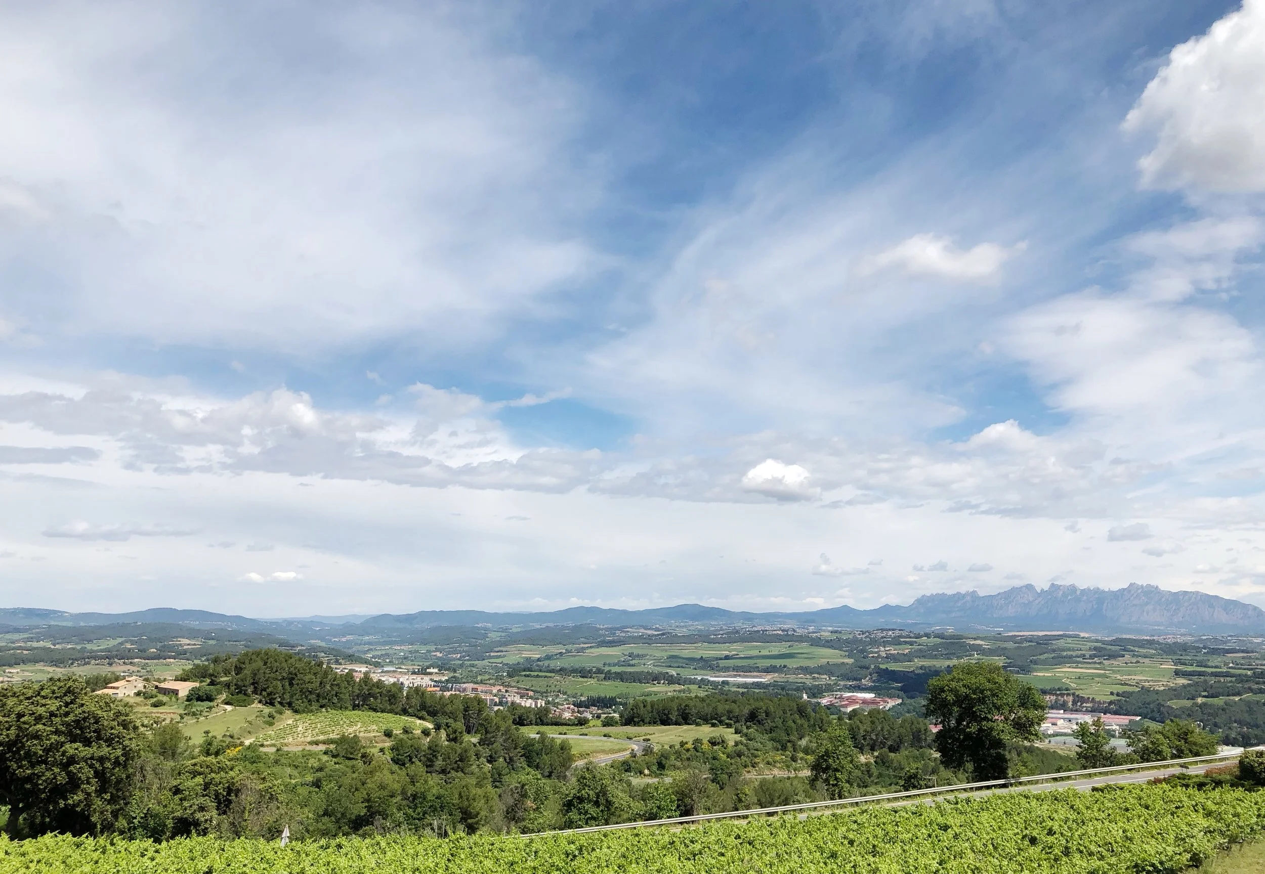 Day trip from Barcelona to Sant Sadurni d'Anoia
