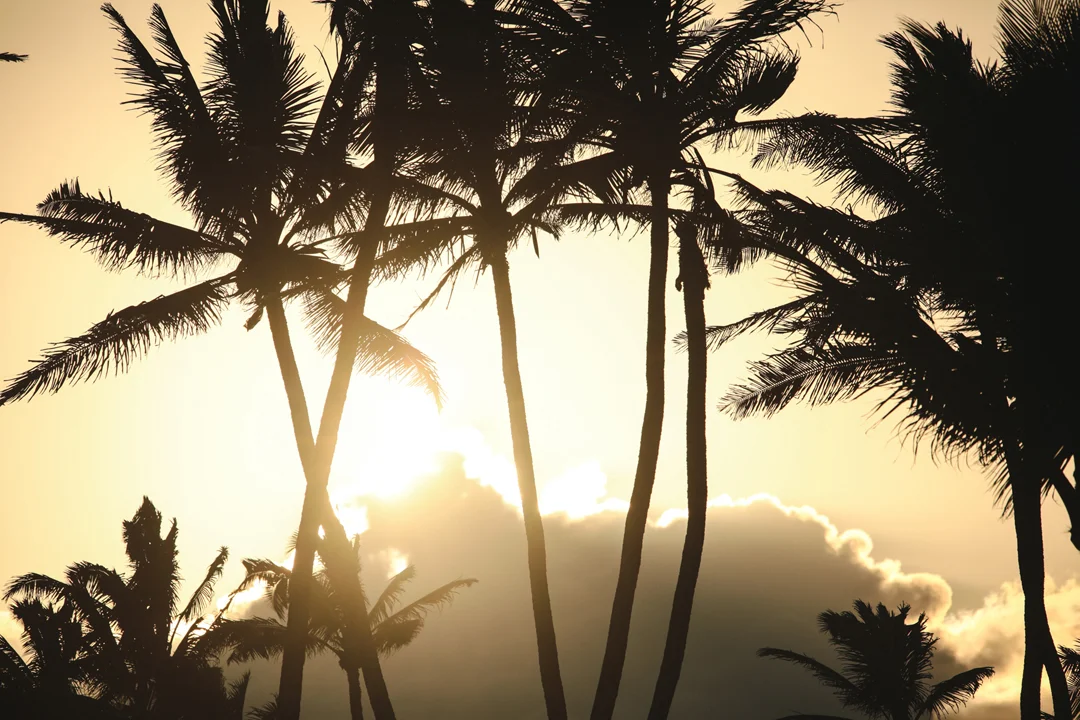 How to plan a honeymoon to Maui