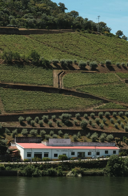 Soulful on the Douro: The River Cruise I’m Taking in 2026 and Who It’s For