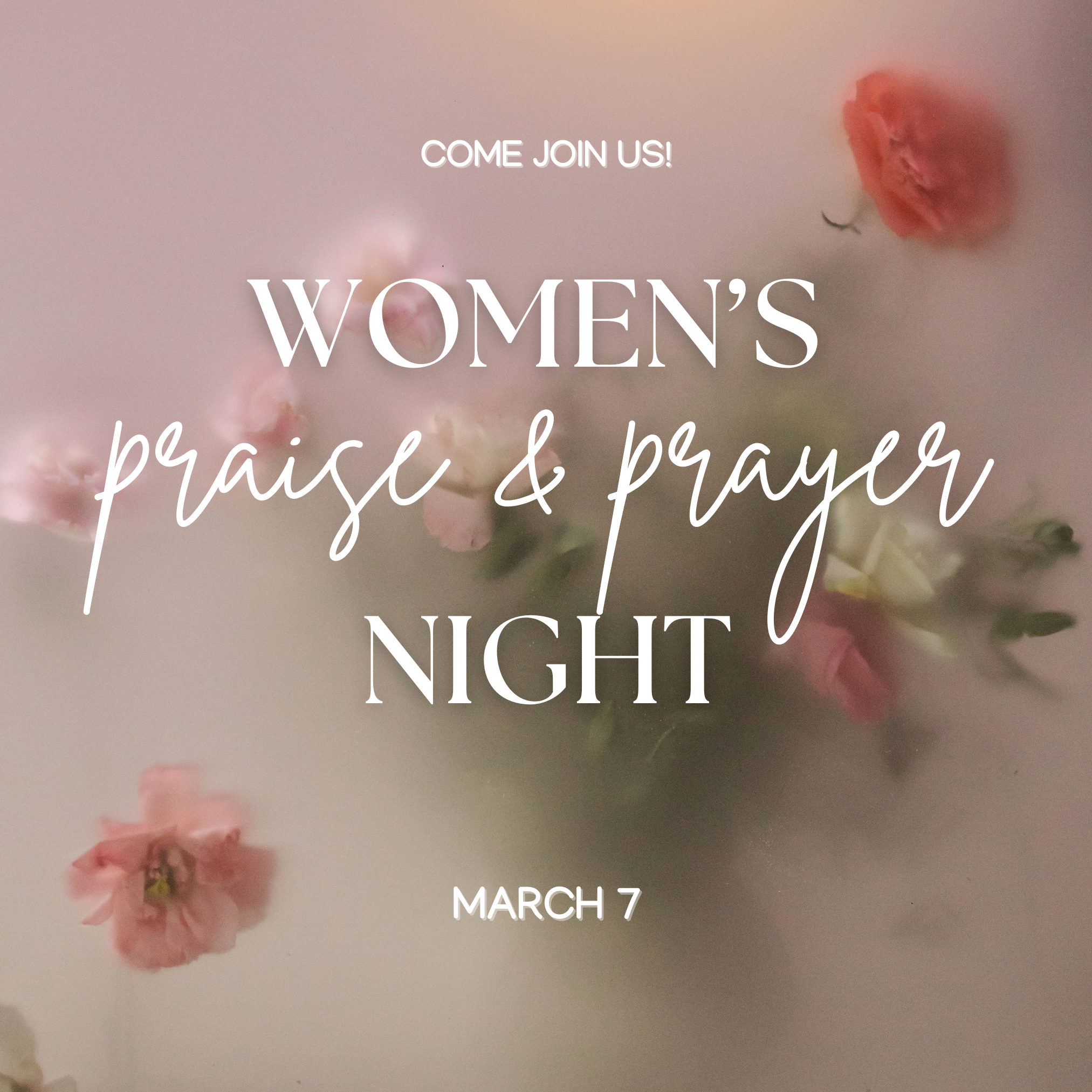 Women's Ministry Praise &amp; Prayer Night