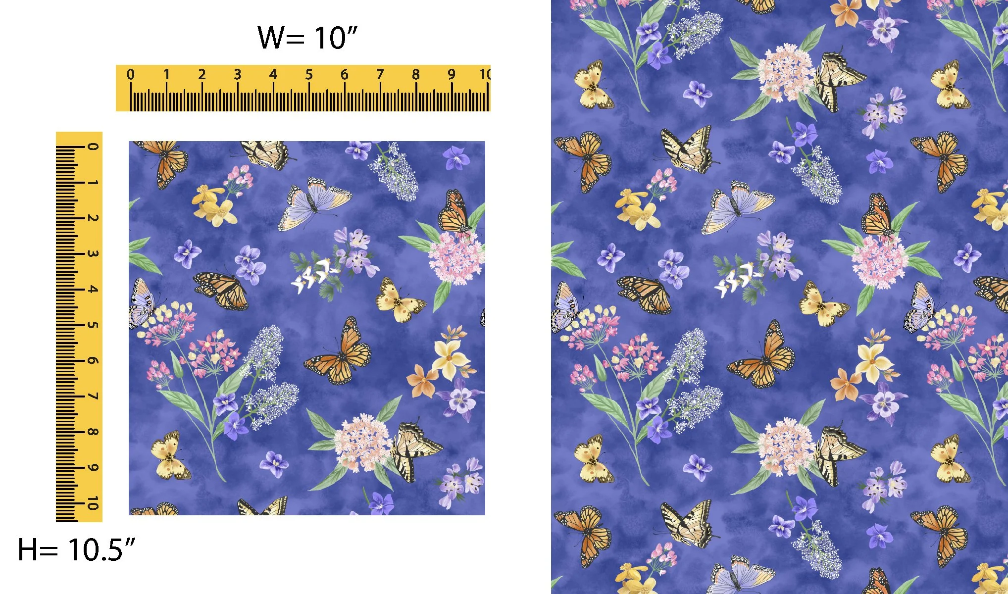 Butterfly meadow blue.jpg
