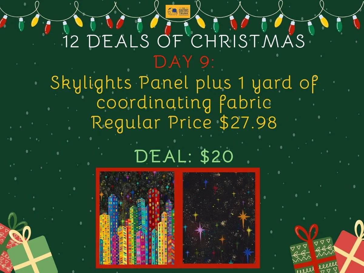 Day 9 skylights.jpg