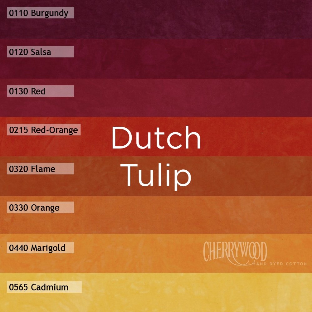 8 DutchTulip.sq.jpg