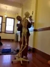 Experiential Anatomy with Joseph Schmidlin