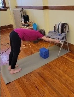 Down Dog on chair.jpg