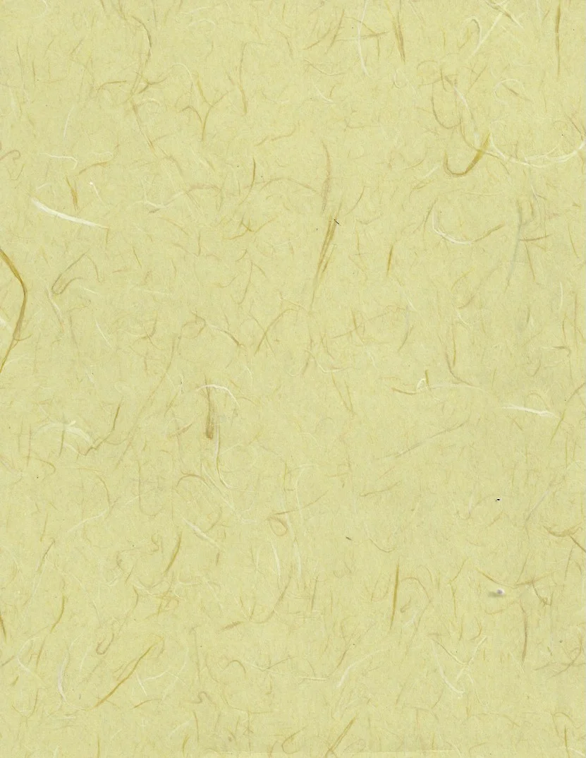Washi Arts Celery.jpeg