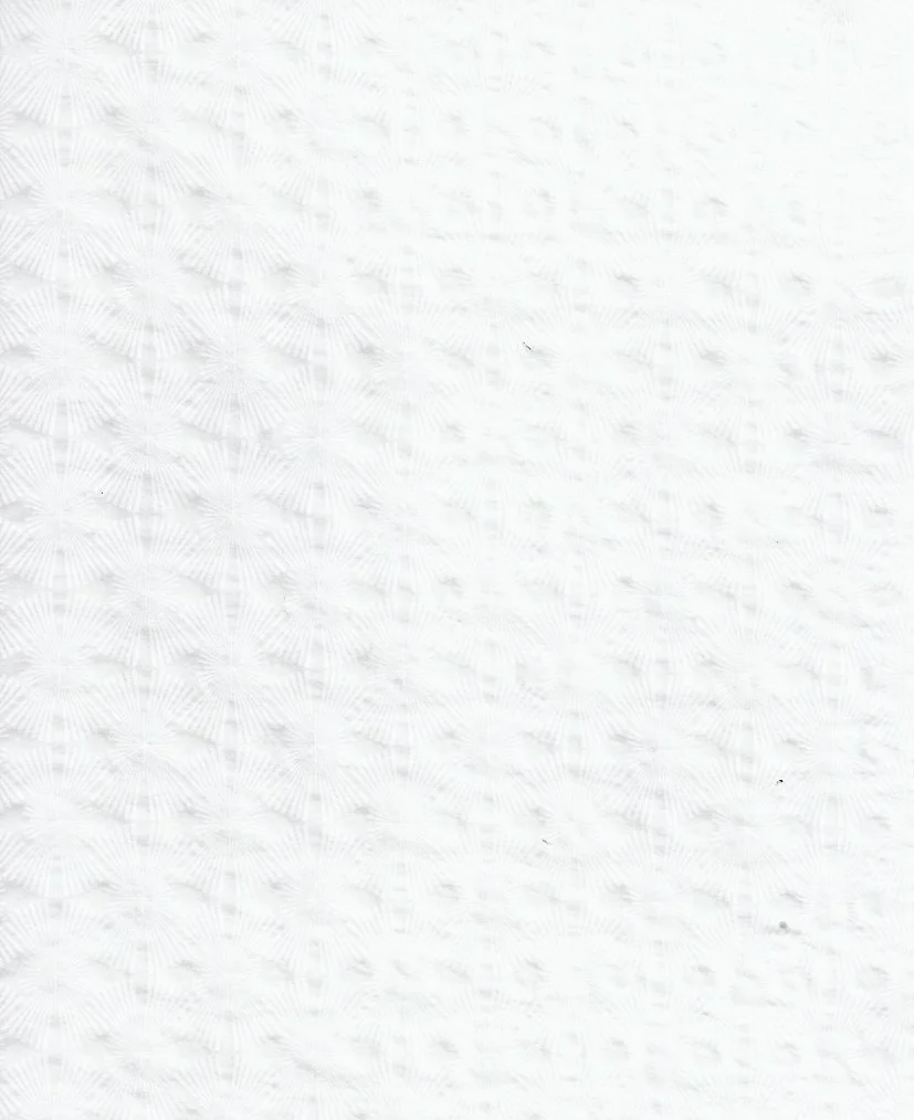 Washi Arts Tarasen Double Fan White.jpeg