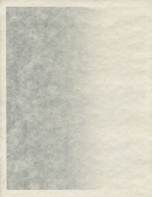 Shoji Paper Roll Tatsumi W94 – OZU WASHI