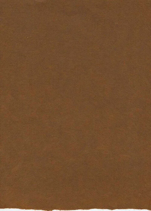 Washi Arts Moriki Kozo Dark Brown.jpg