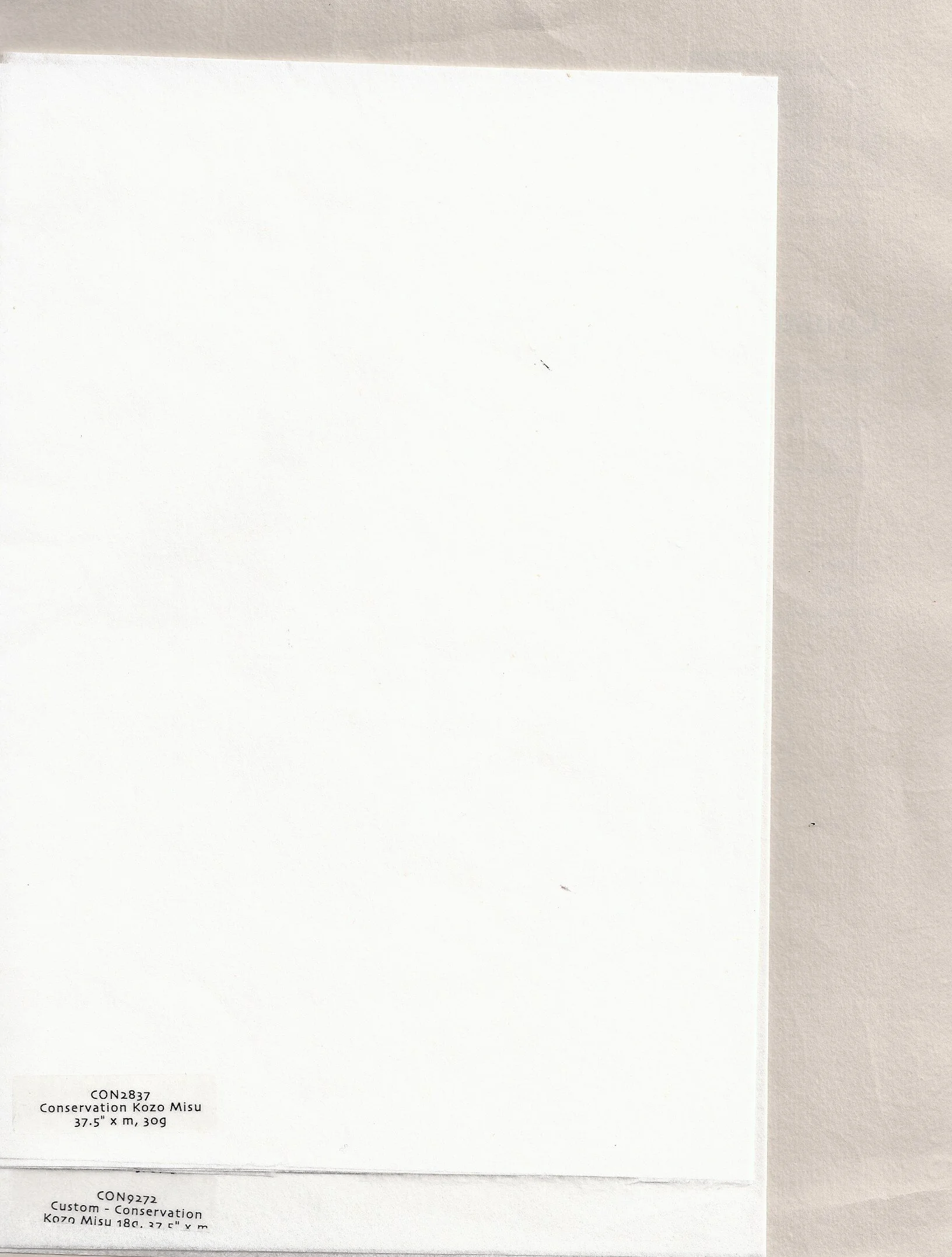 Washi Arts Conservation Papers with Clay A.jpeg