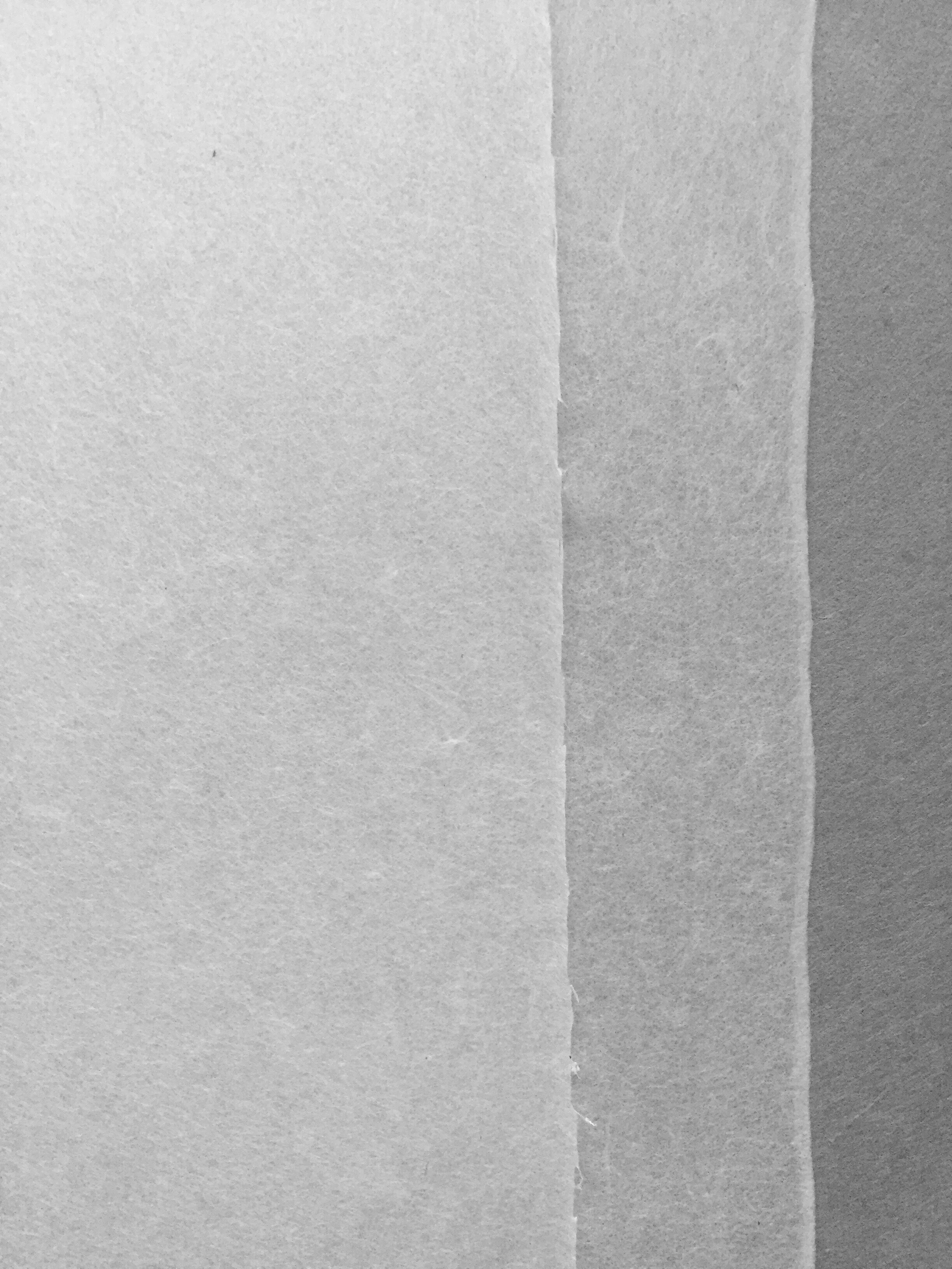 washi-arts-sekishu-banshi-tsuru-c.jpg