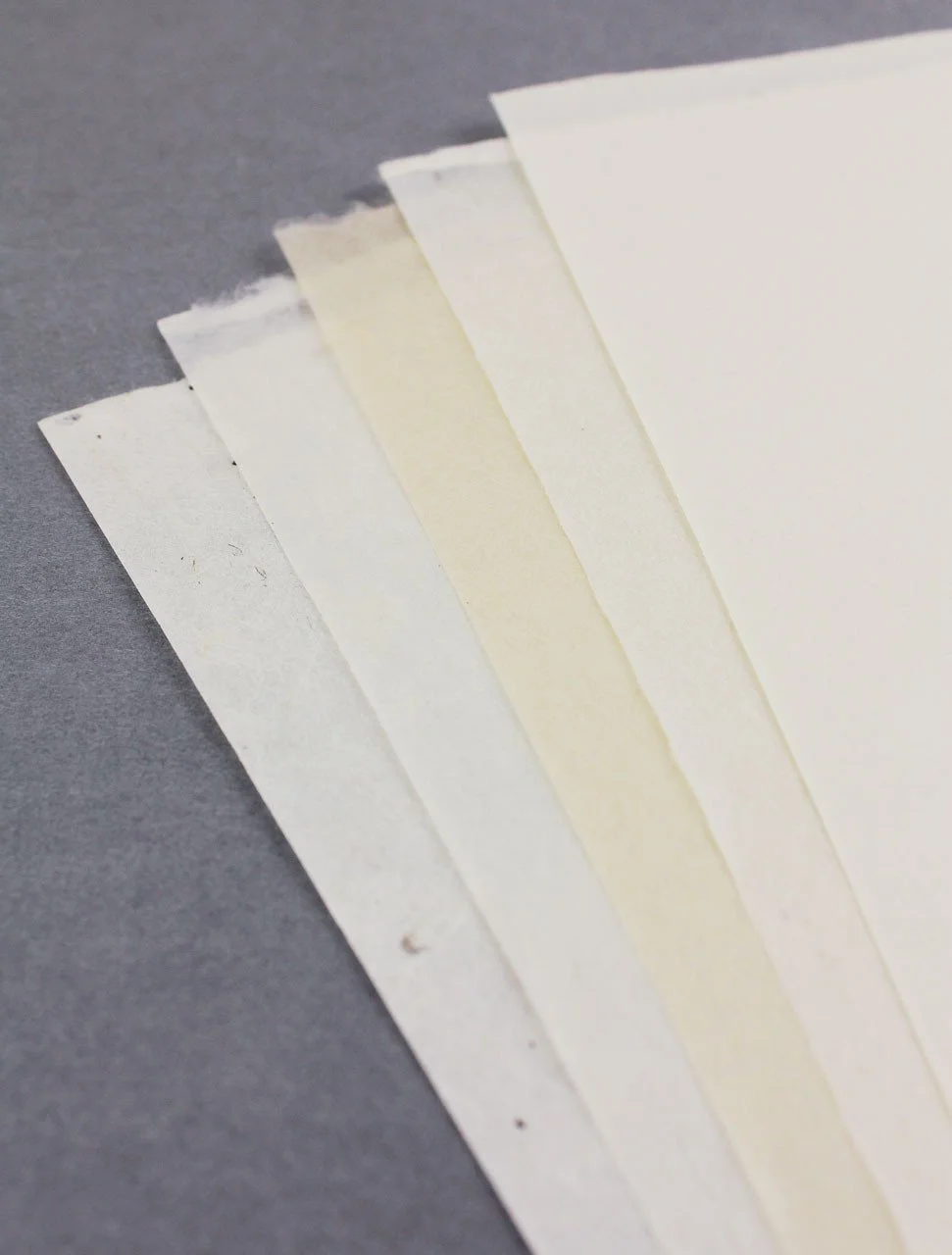 washi arts longevity assortment a.jpeg