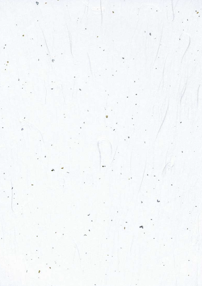 Kingin Japanese Decorative Japanese Paper with Metallic Inclusions — Washi Arts