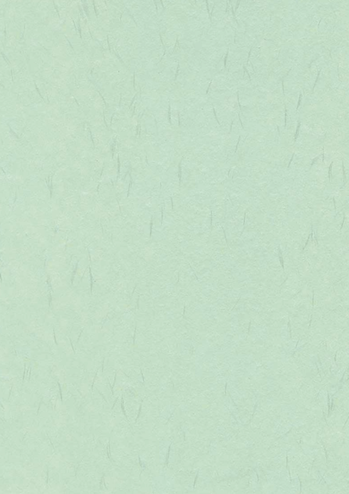 Mint Green Tairei Japanese Paper — Washi Arts