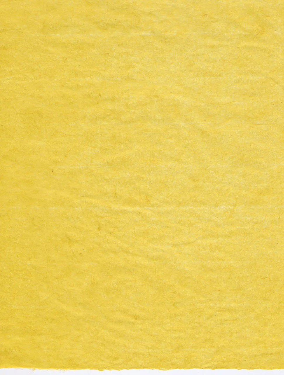 Kizuki Somegami Yellow.jpeg