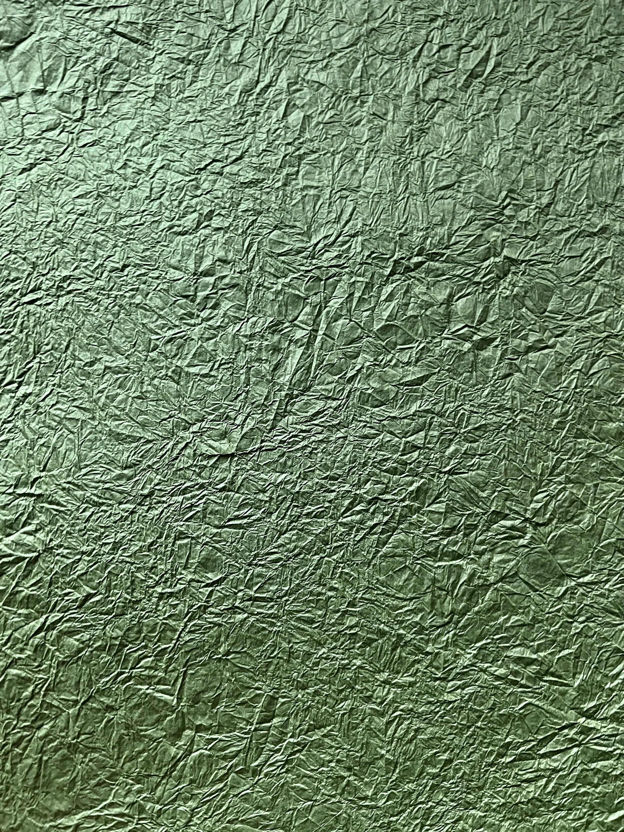 IMG_2640.jpeg
