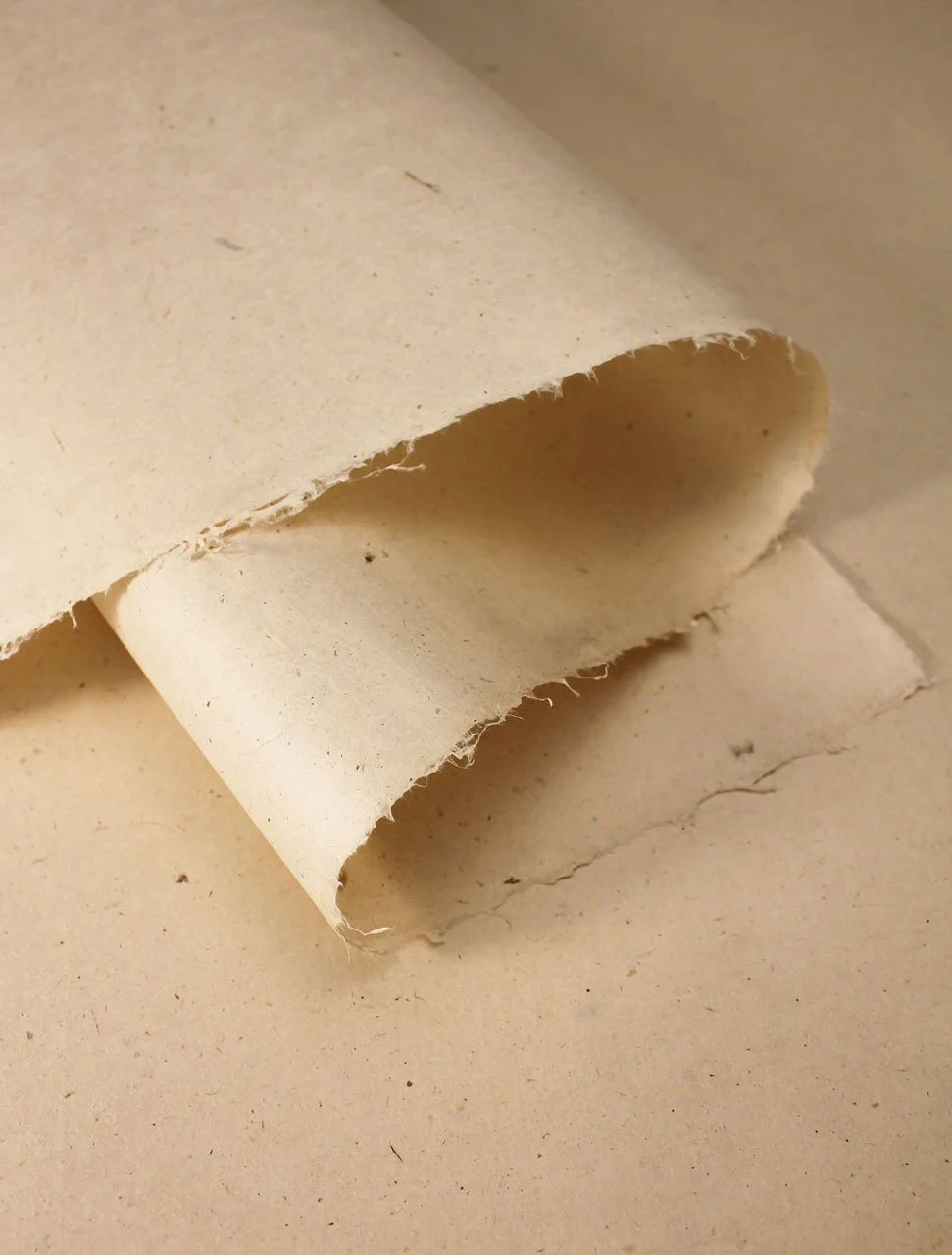 Bicchu Toriniko Gampi Chiri HM HW.jpeg