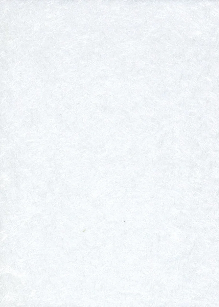 Obonai Feather Off White 45g.jpeg