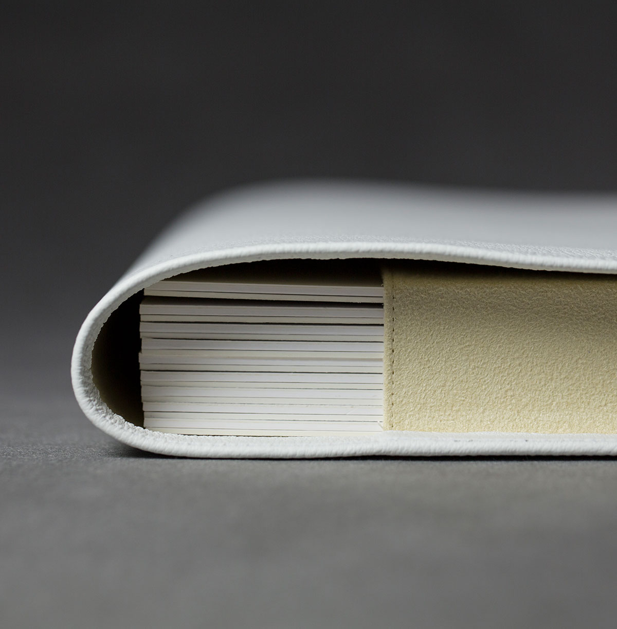 sue bryce portfolio spine.jpg