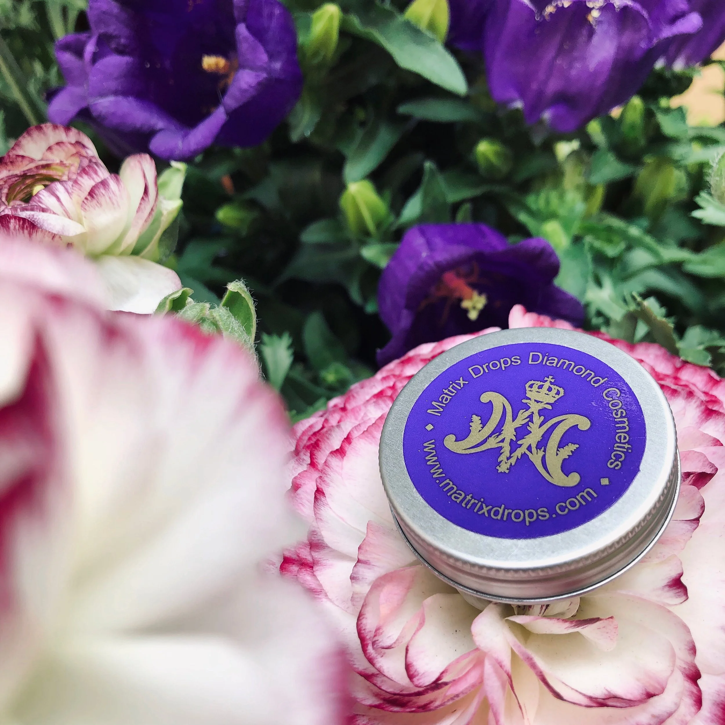 Shea Butter Lip Balm 10ml