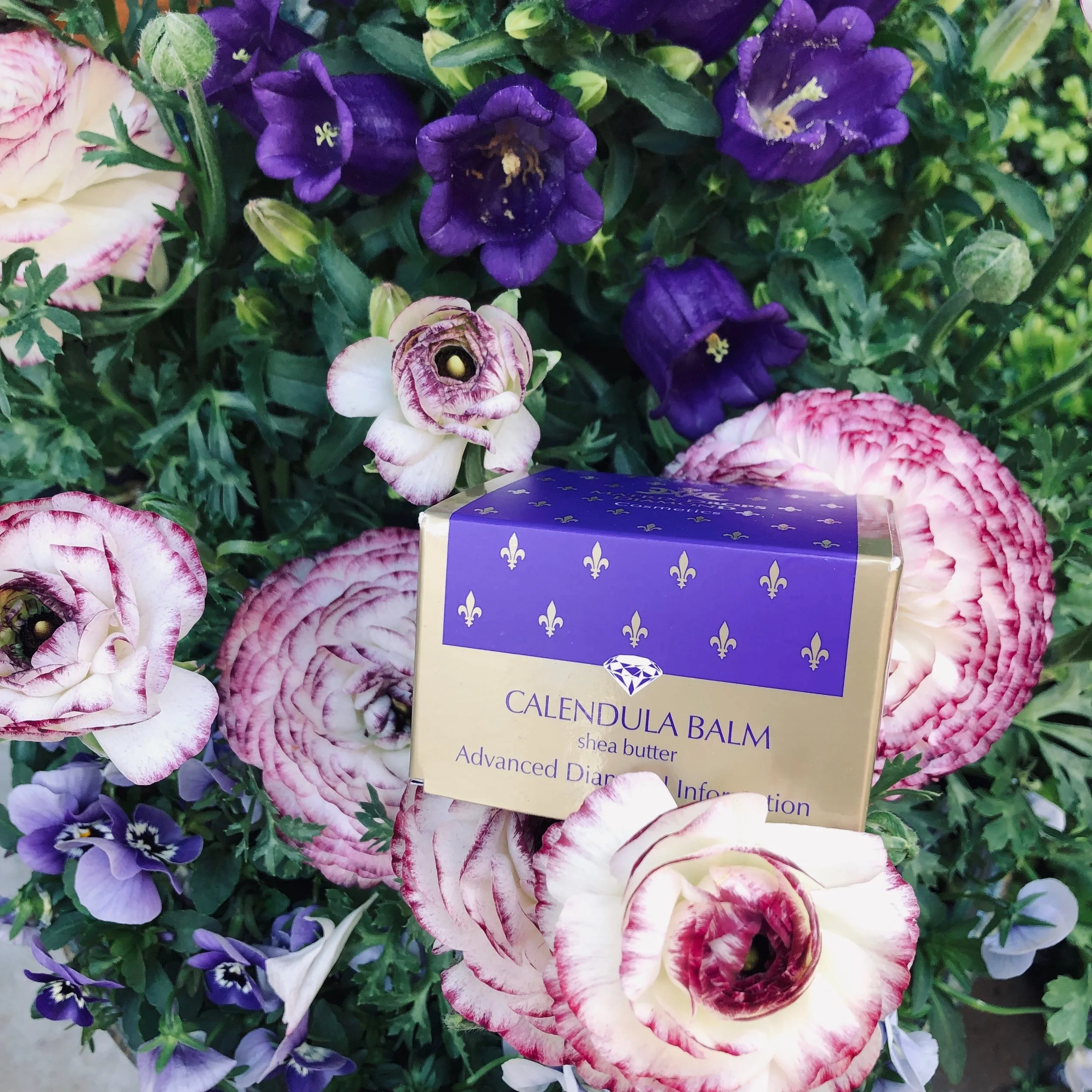 Shea Body Butter - Calendula 50ml