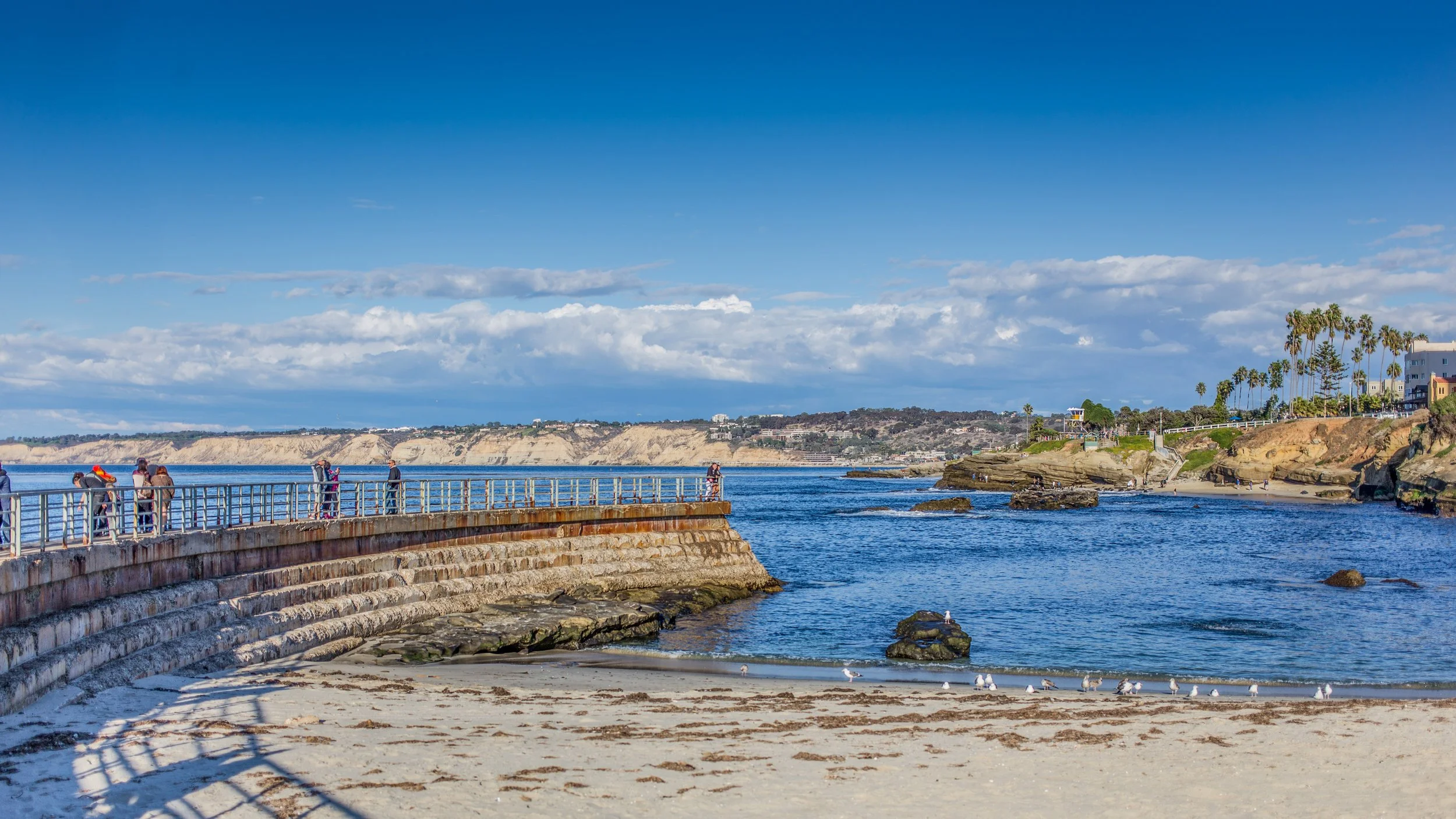 HDR-6864.jpg