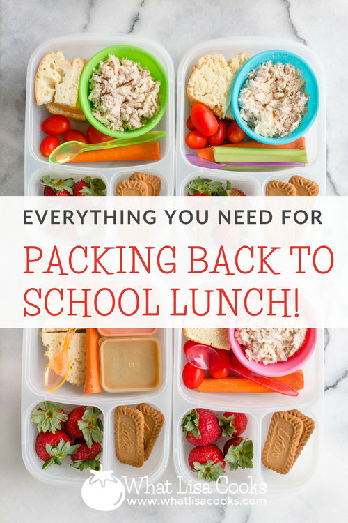 How to Pick a Good Lunch Bag for Your Kid?
