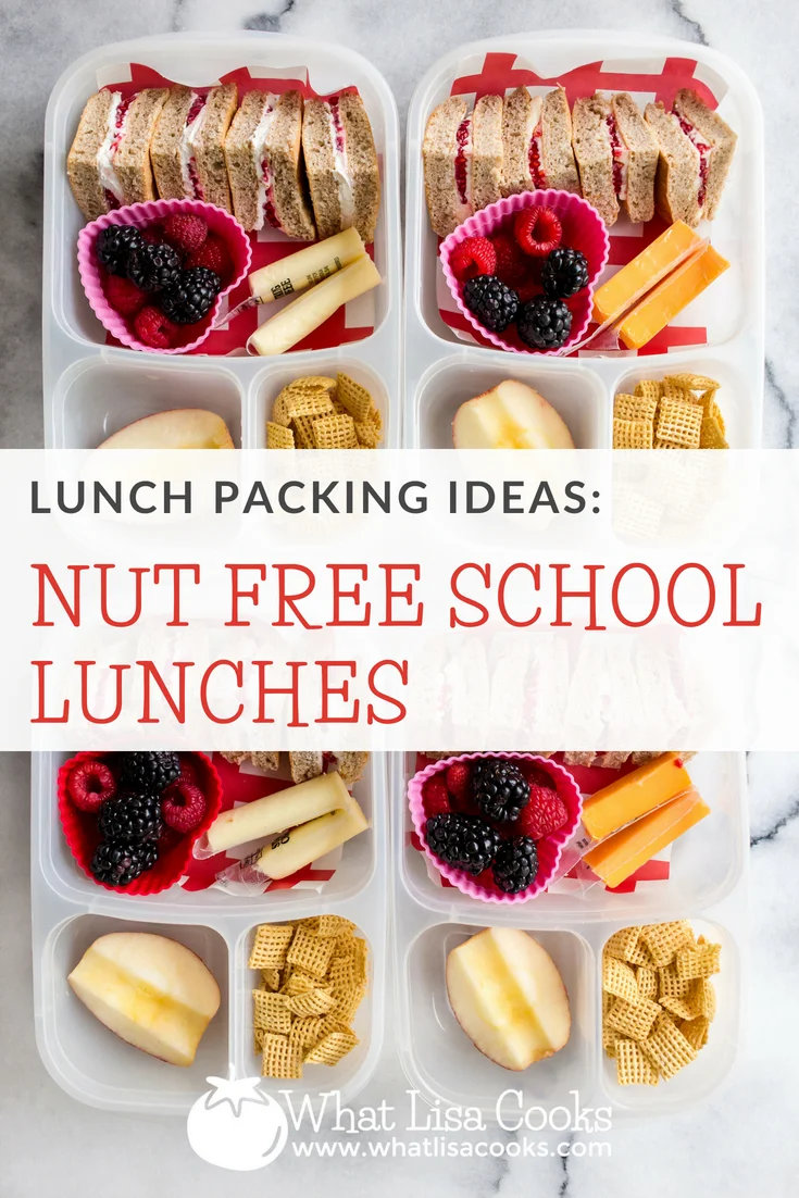 Nut Free Lunches What Lisa Cooks Pack the soup in a thermos and the croutons in a separate bag to ensure they don't get soggy before lunch time. nut free lunches what lisa cooks
