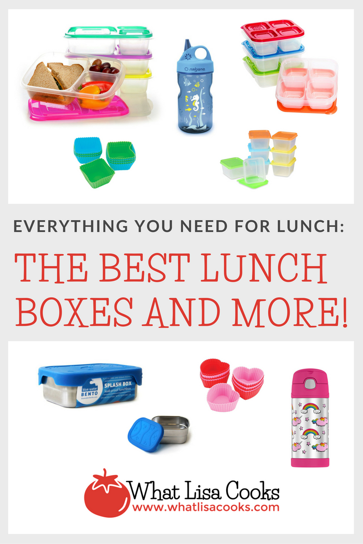 10 Reasons Why I Love EasyLunchboxes! — What Lisa Cooks