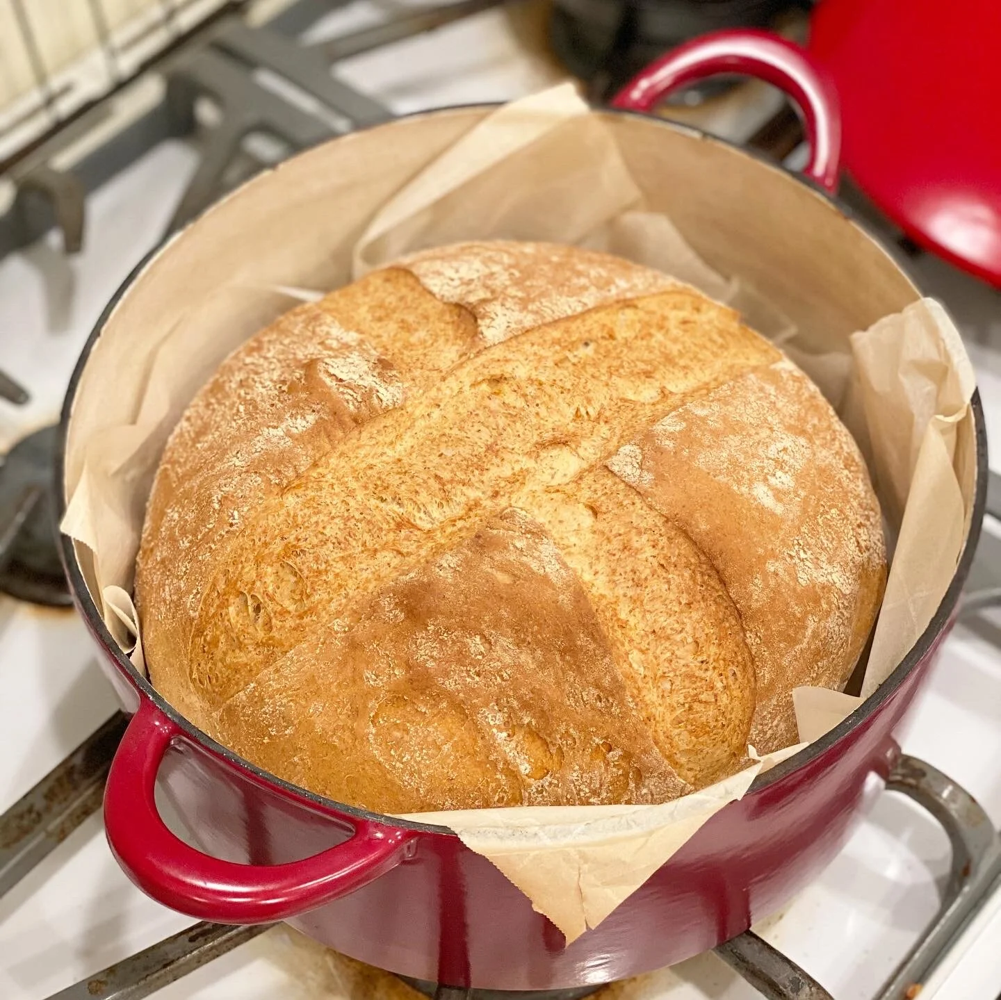 Easy Pizza and Bread Dough Recipe — What Lisa Cooks