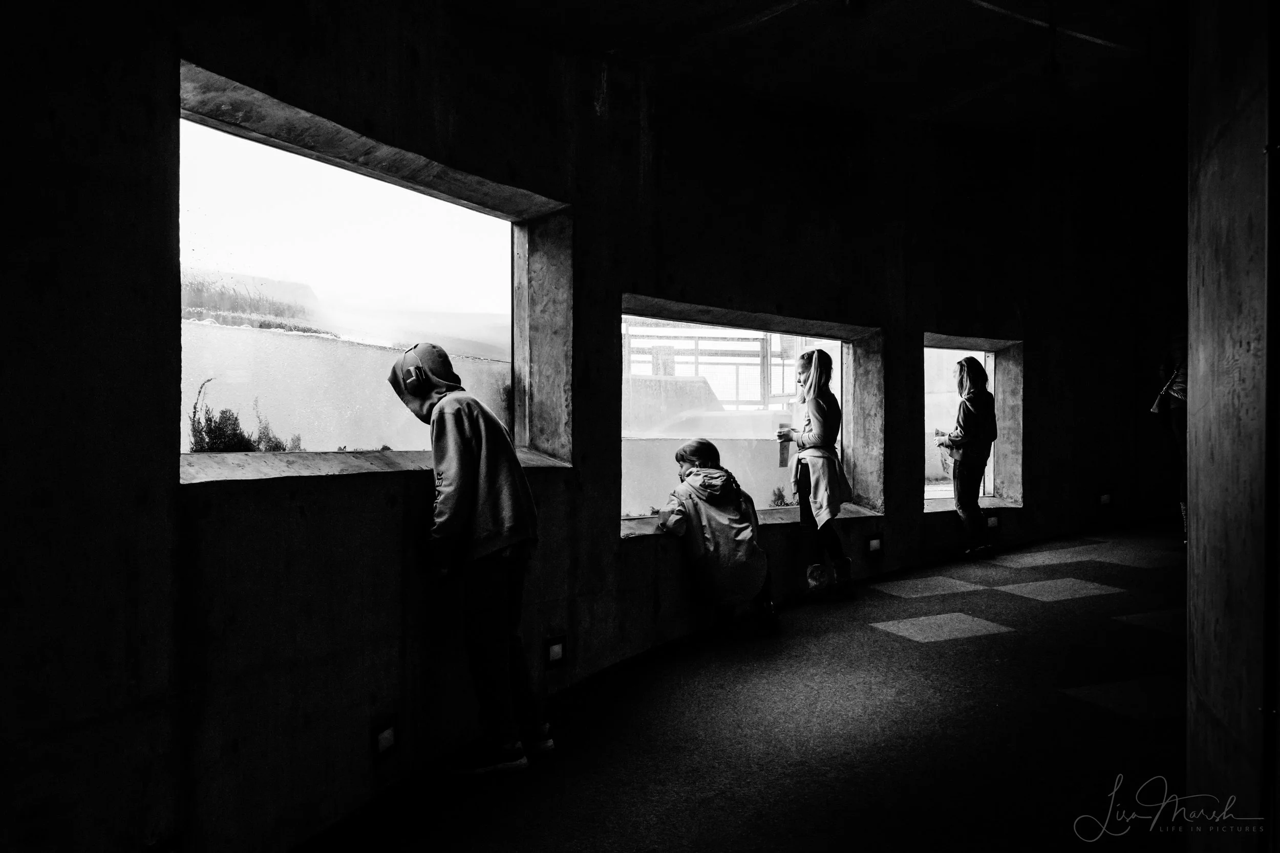 _MG_9550.jpg