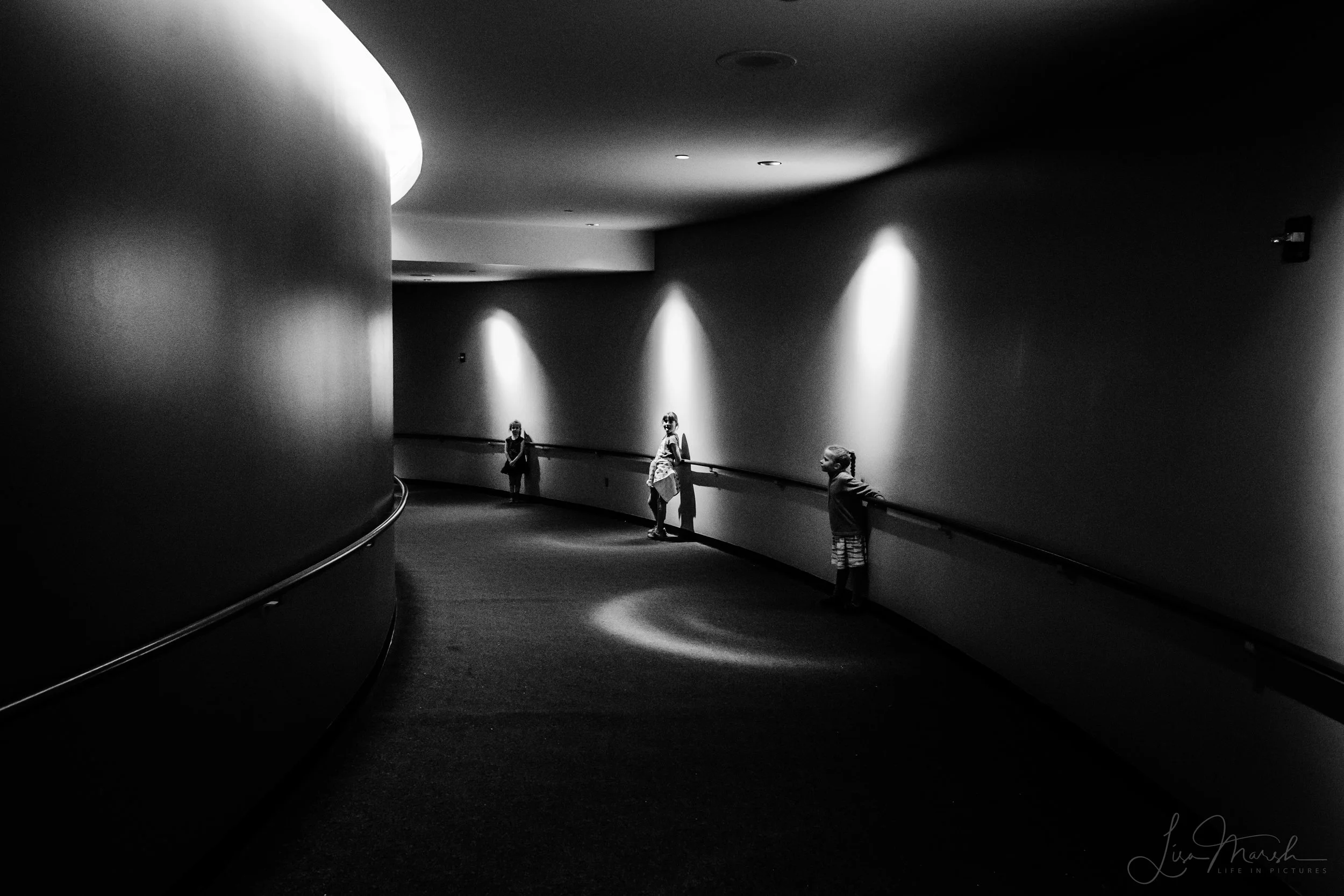 _MG_5866.jpg