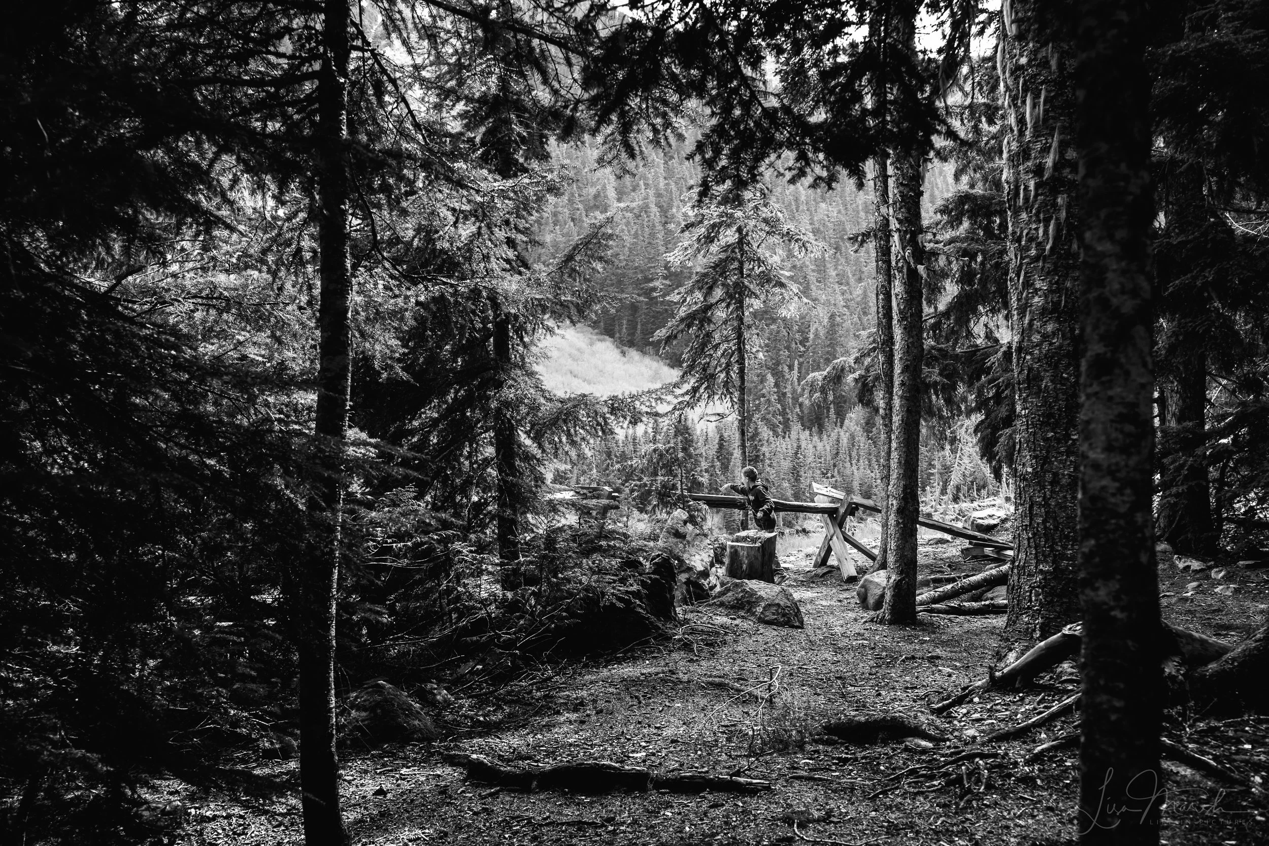 _MG_9530.jpg