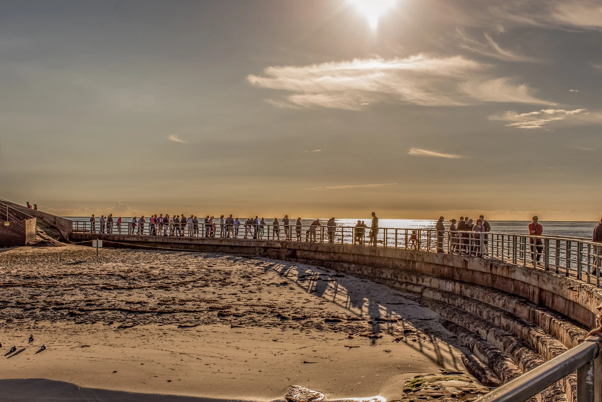 HDR-6900.jpg