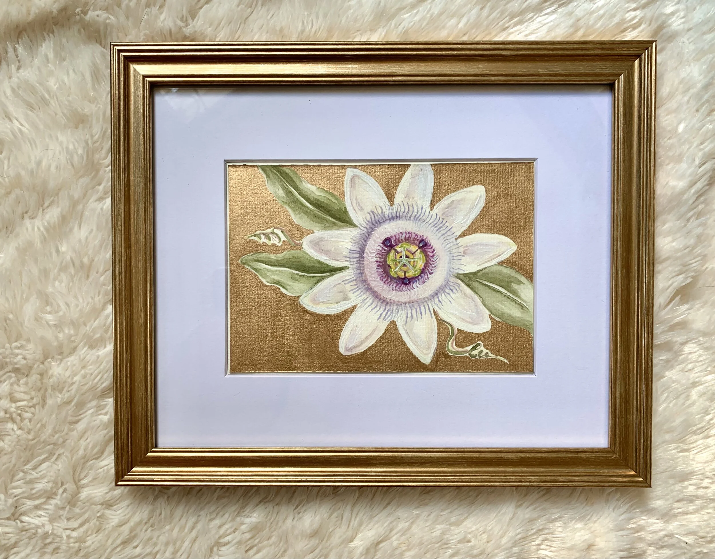Passiflora II
