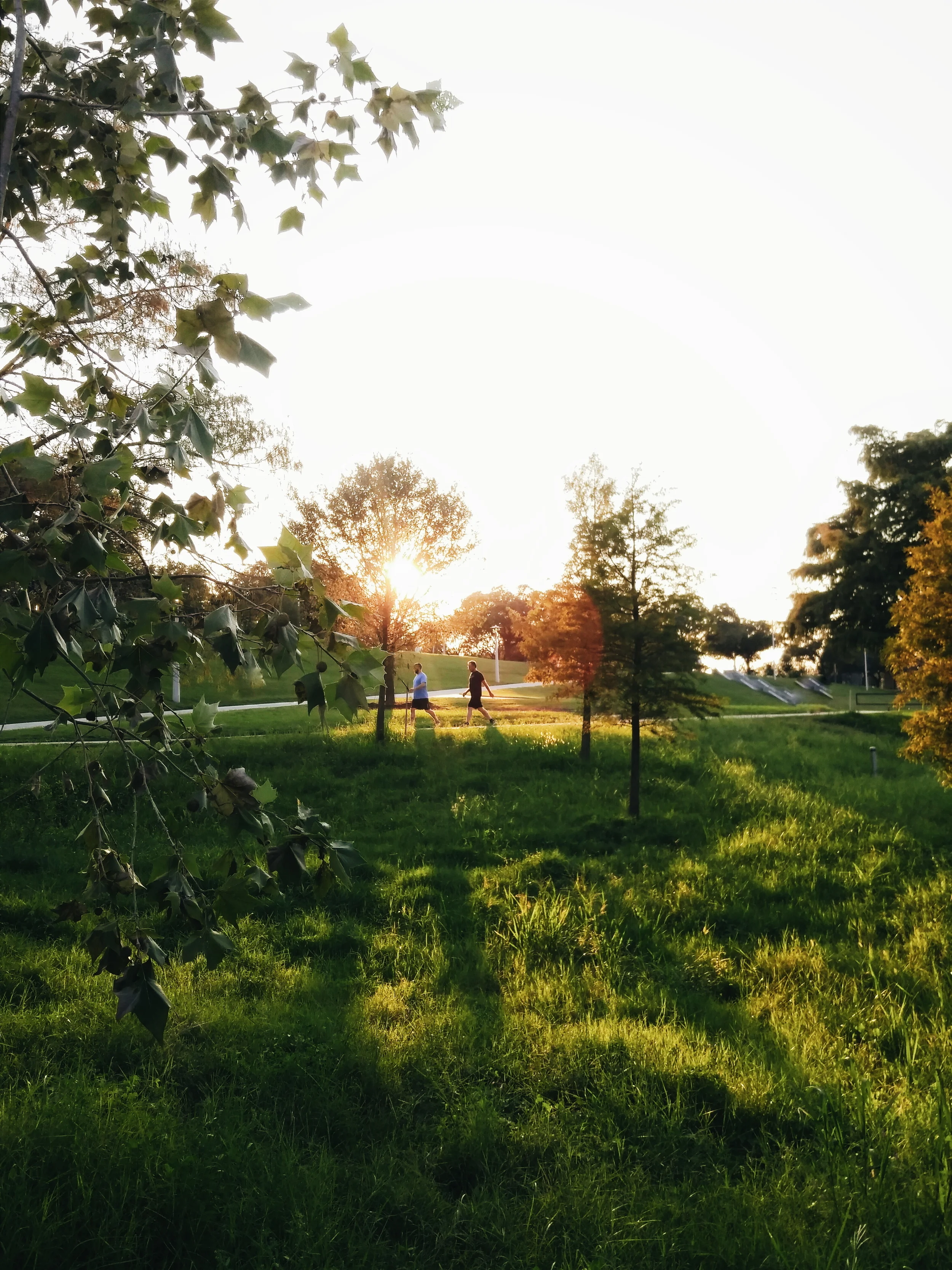 Eleanor_Tinsley_Park.jpg