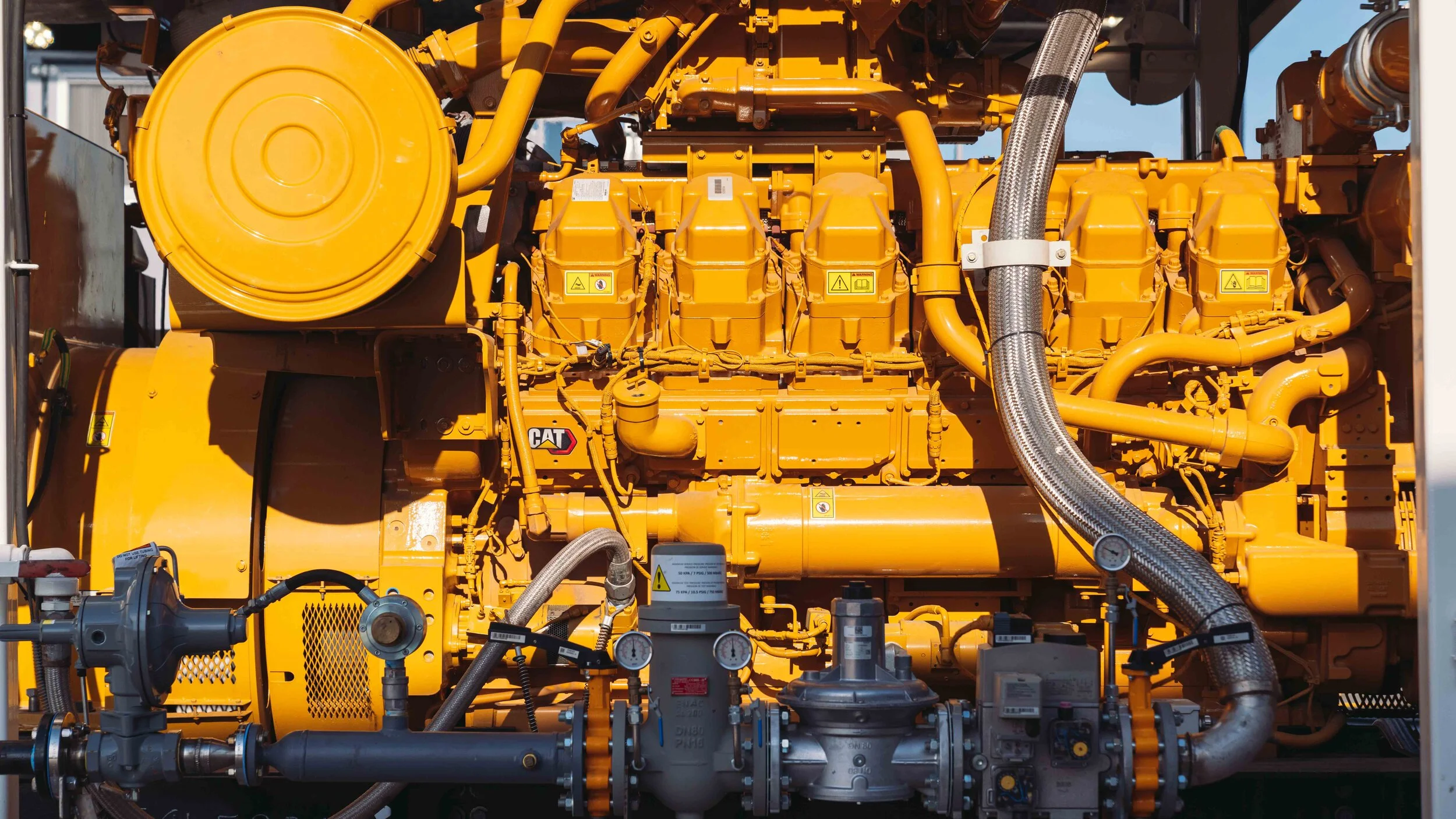 Second CAT shoot-10.JPG