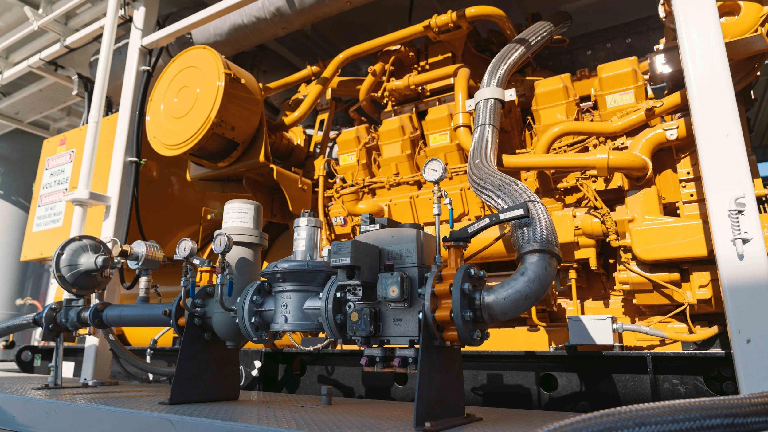 Second CAT shoot-11.JPG