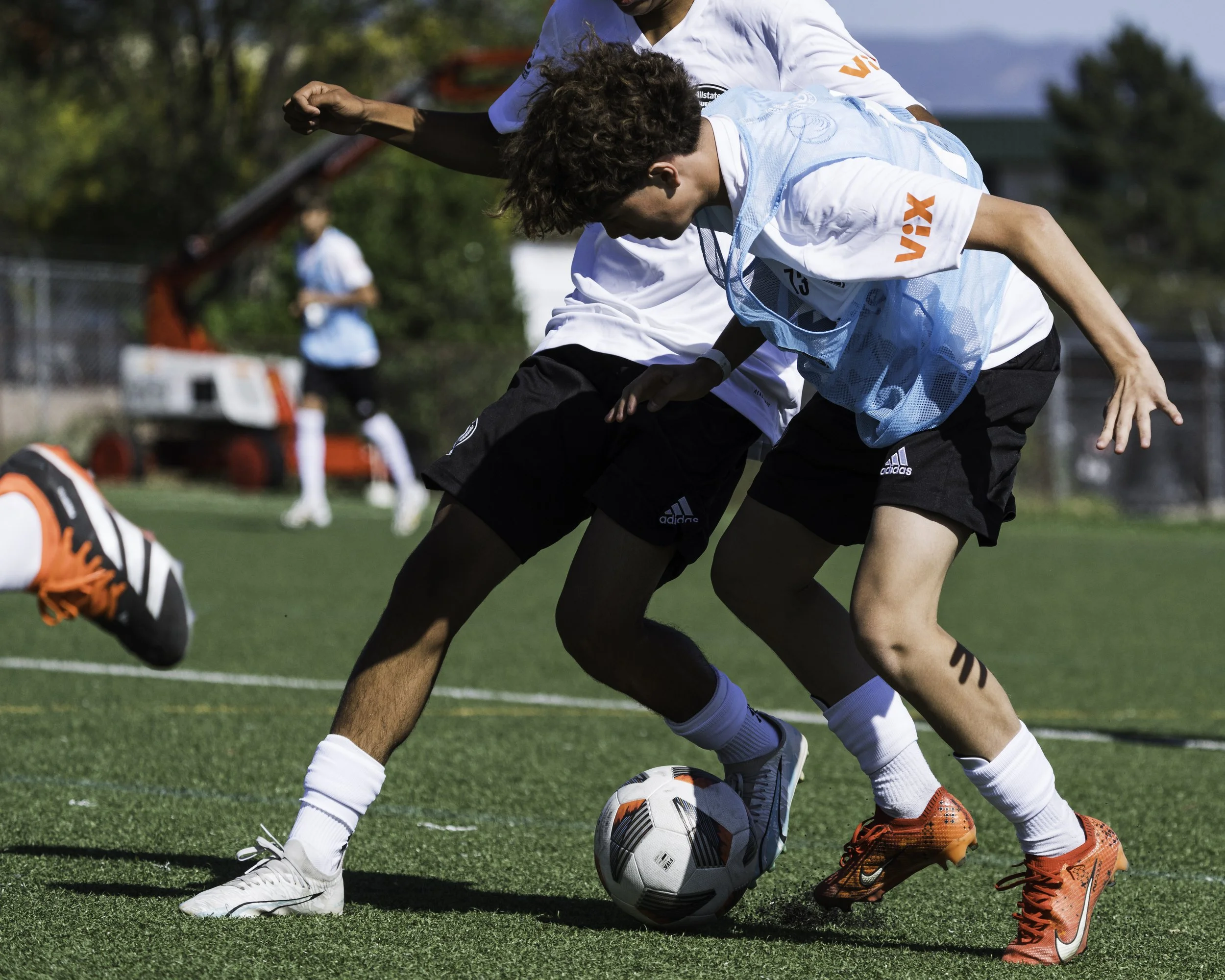 Will's edits-2-2.jpg