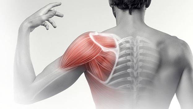 Shoulder Instability Diagnosis and Treatment