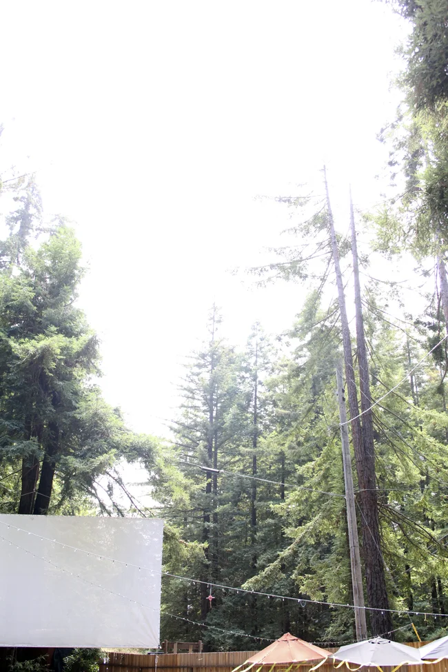 movies big sur