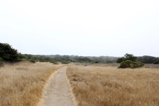 your own path