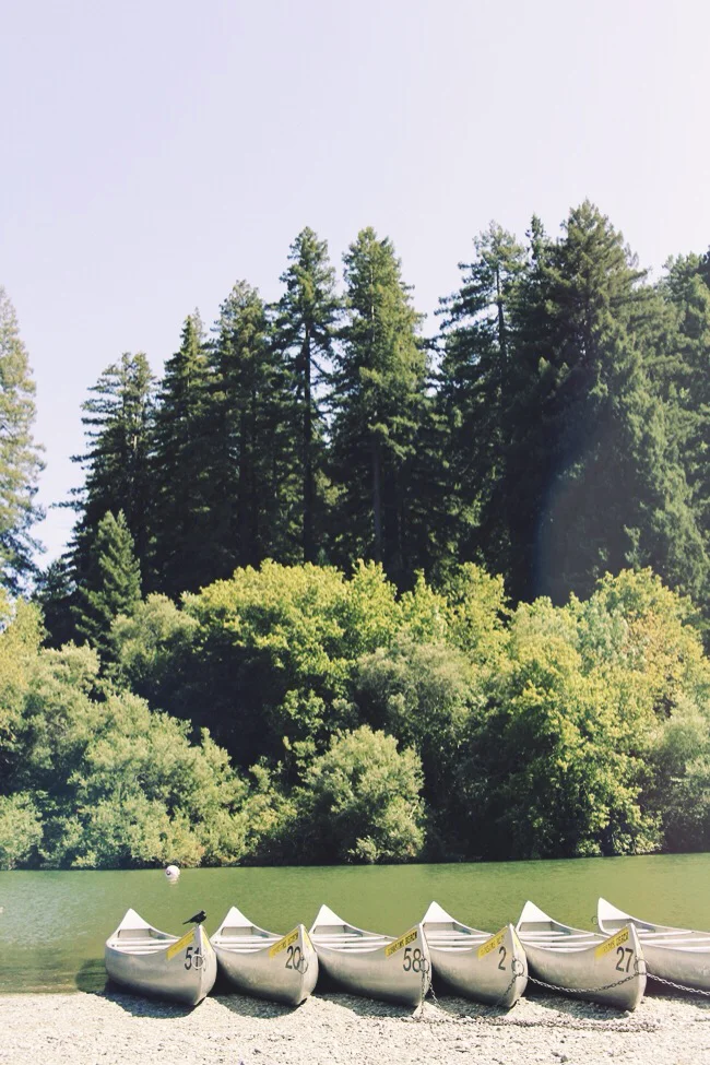 russian river boats