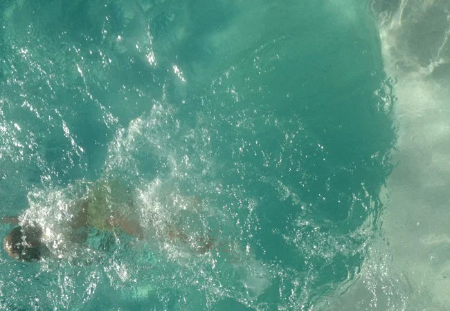 swimming