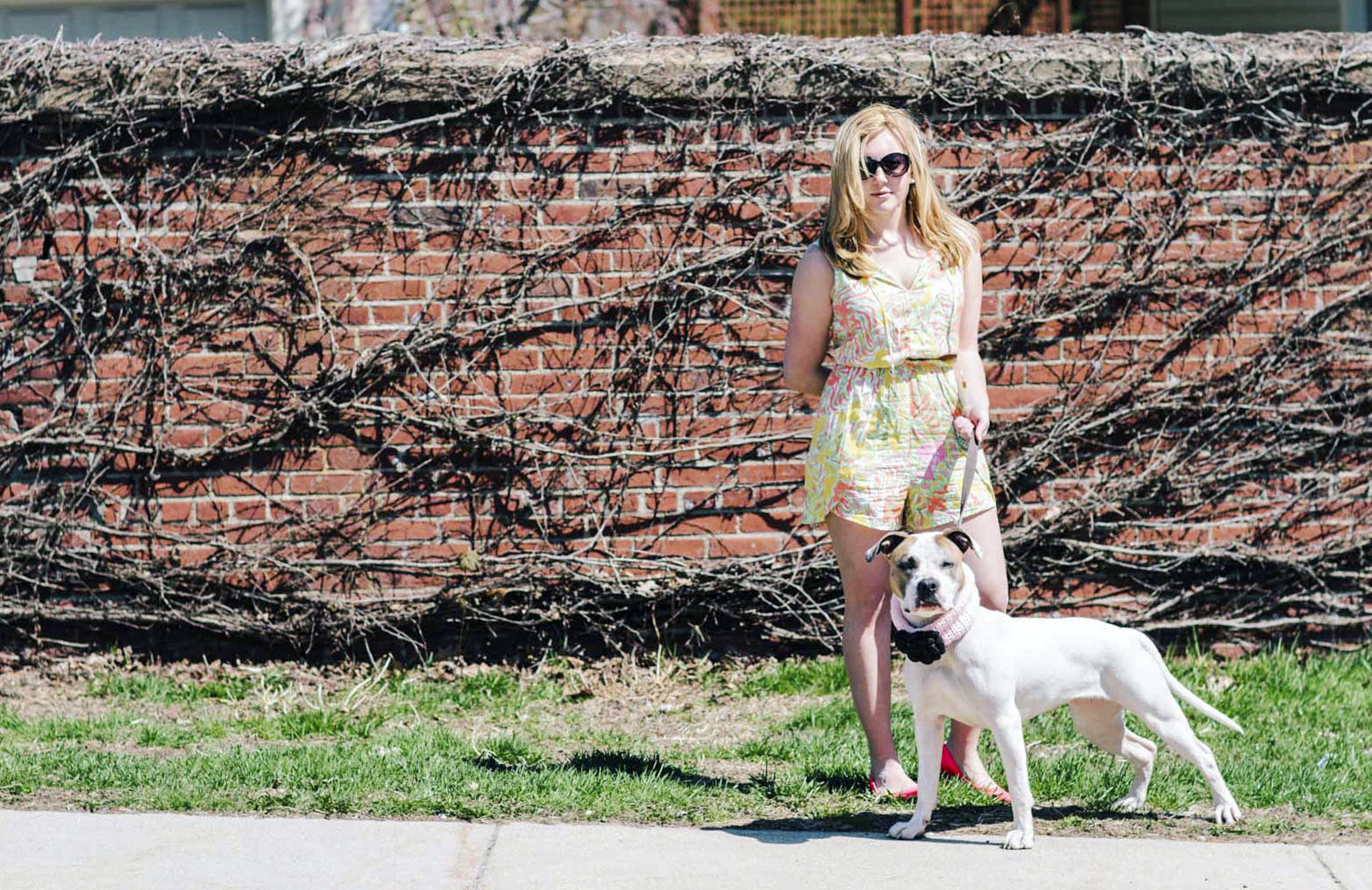 photos by Justine M. Johnson // MSPCA // puppy // dog // Kate Spade // Lilly Pulitzer // target | thoughtfulwish