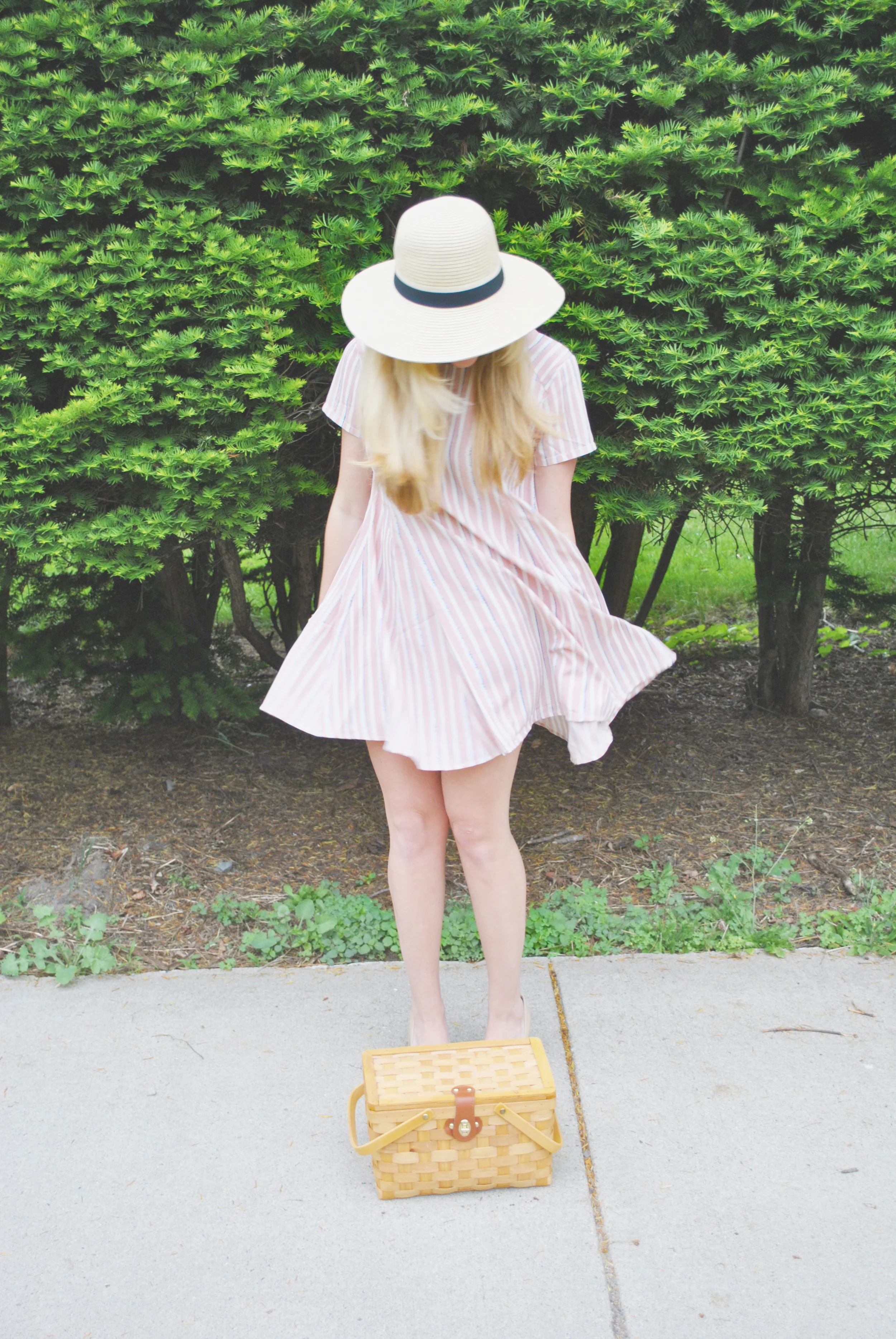 Picnic Ready