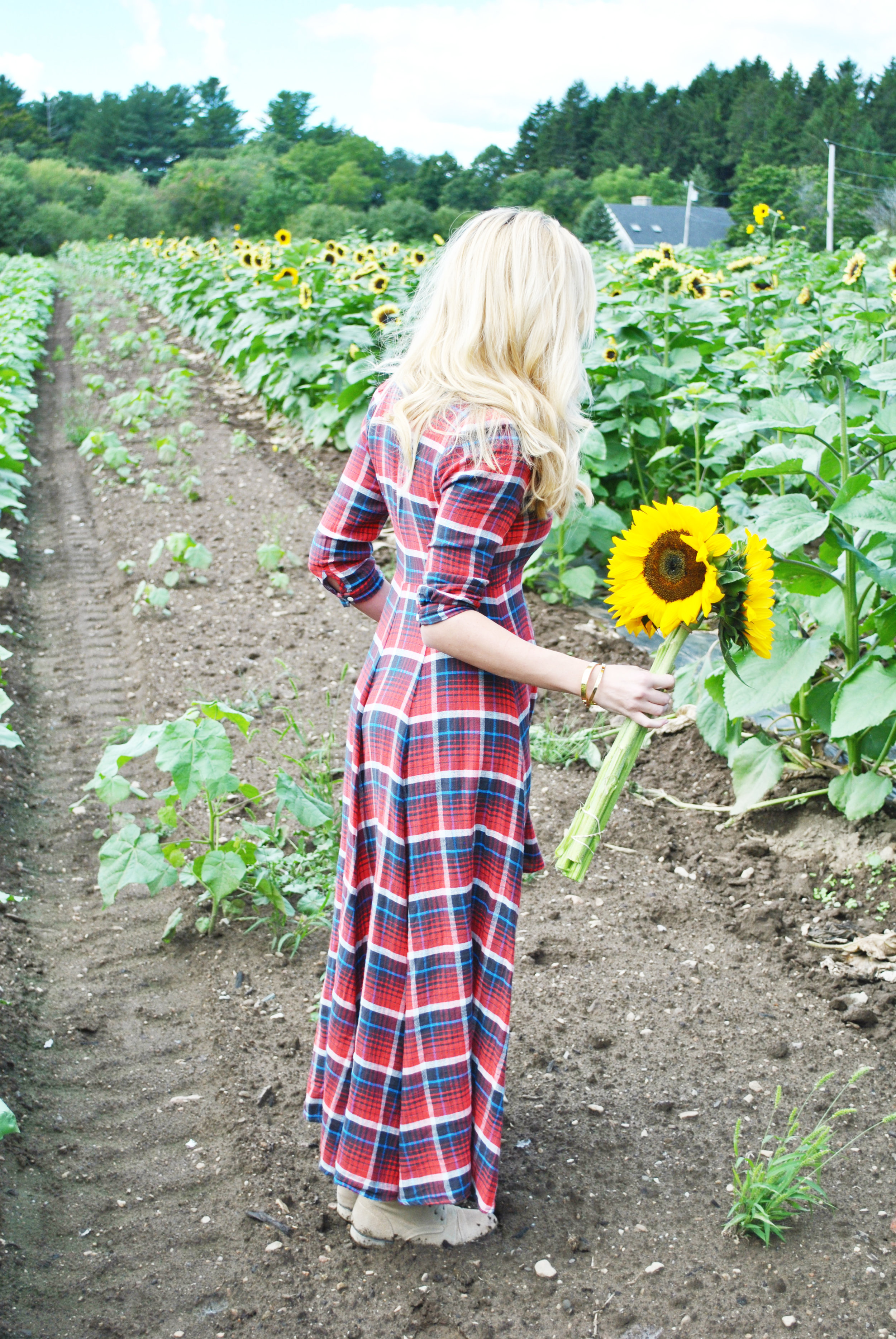 thoughtfulwish | plaid // denim supply // ralph lauren // fall outfit // apple picking // sunflower farm // new england fashion // fall gown // boston // preppy // meredith wish