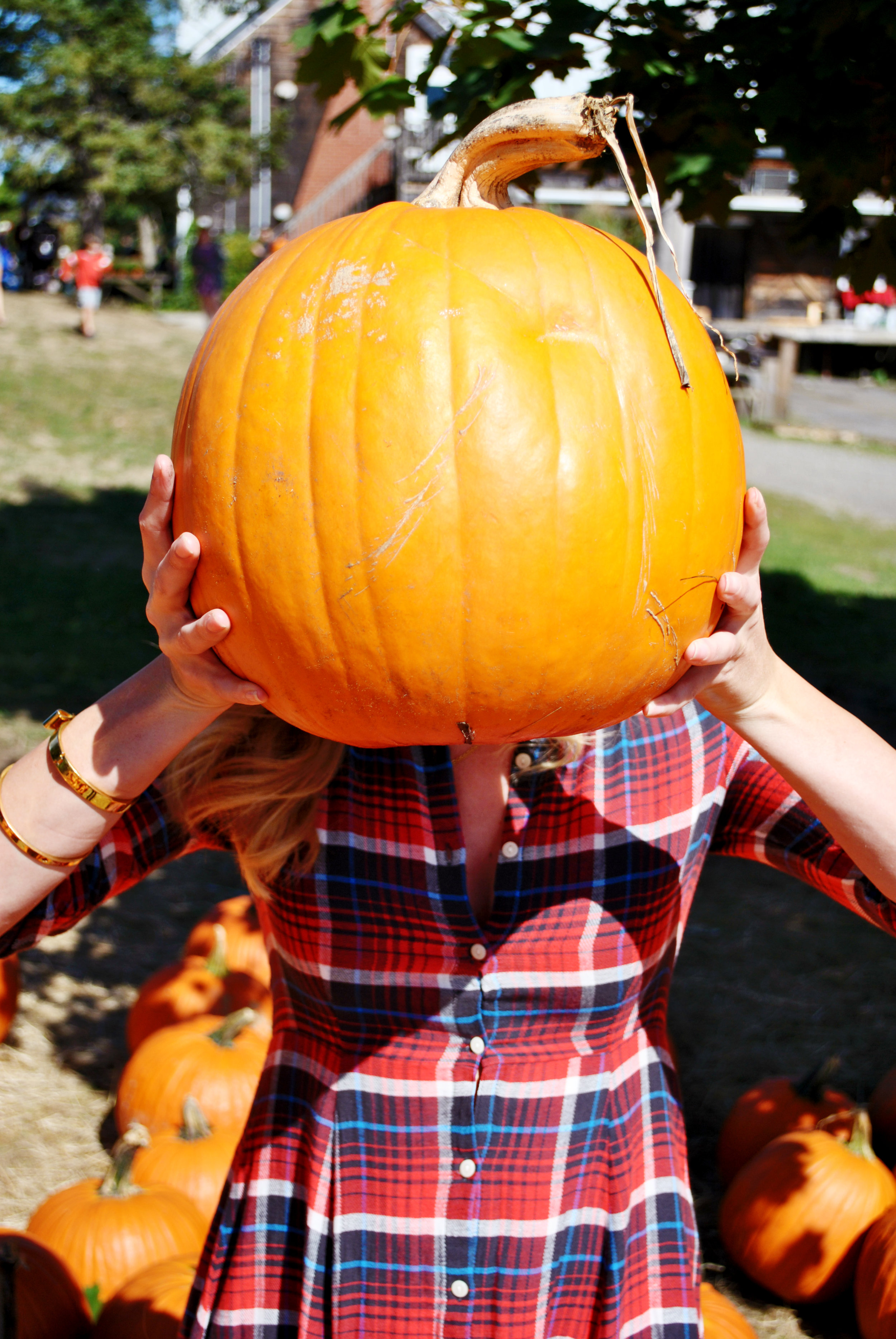 thoughtfulwish | plaid // denim supply // ralph lauren // fall outfit // apple picking // sunflower farm // new england fashion // fall gown // boston // preppy // meredith wish