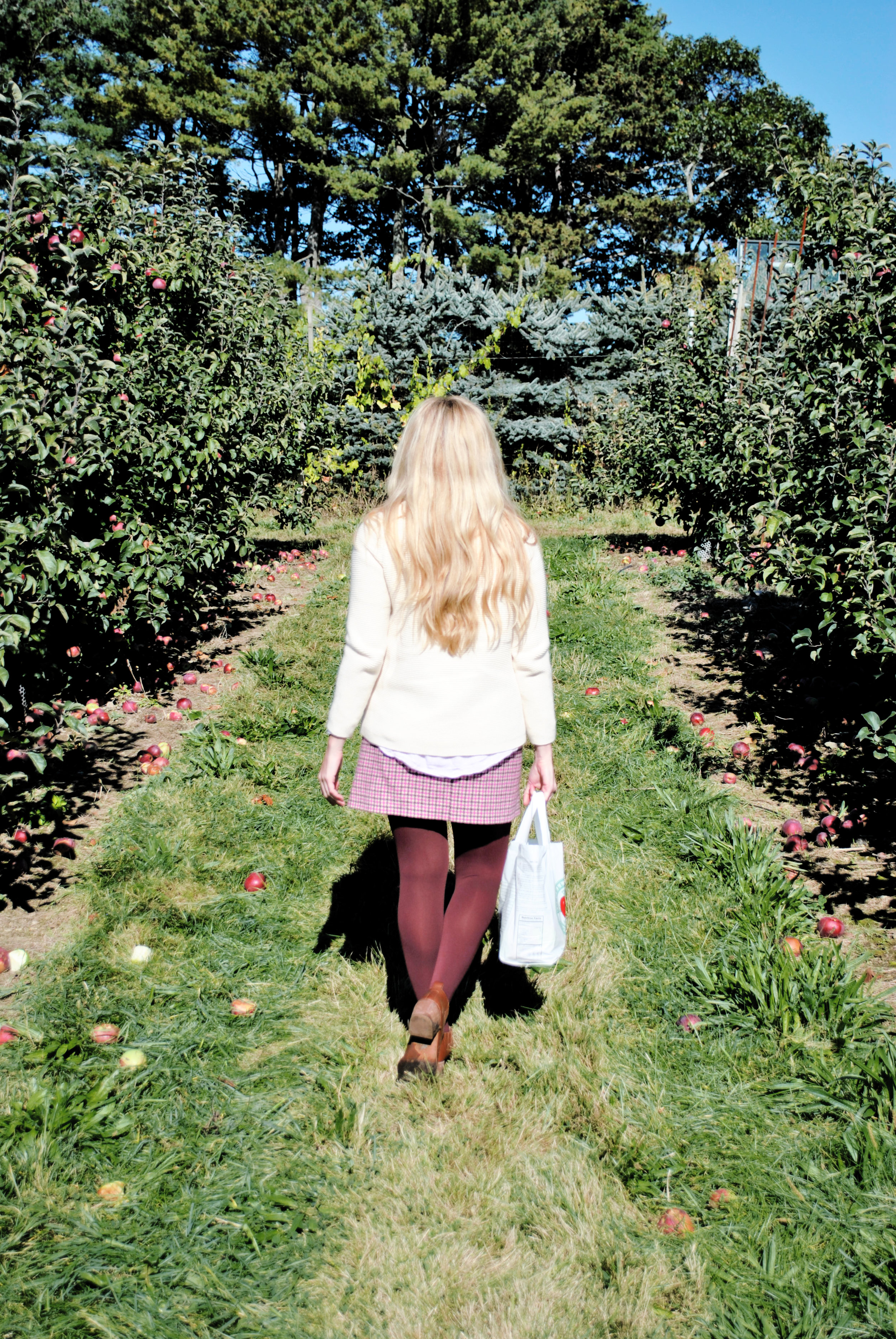 thoughtfulwish | apple picking, fall outfit, apple outfit, burgundy, j.mclaughlin, j.crew, nordstrom, meredith wish, boston, new england fashion, fashion blogger